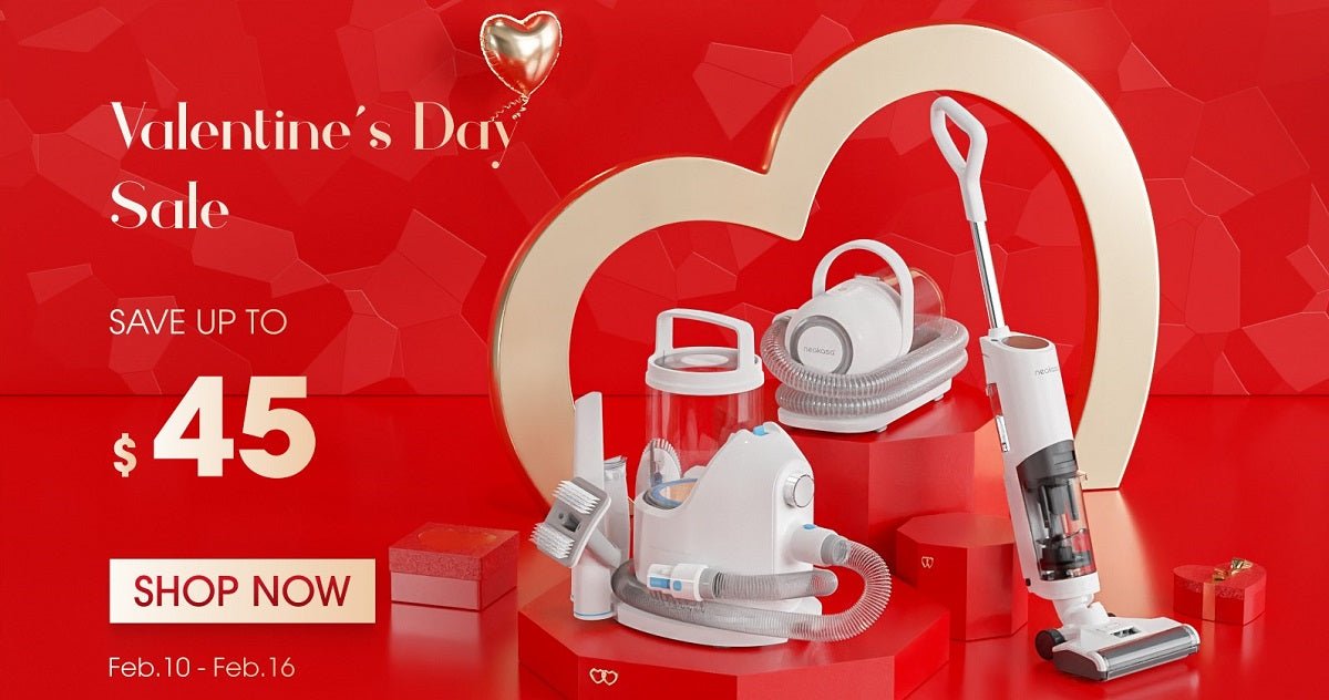 10 Ways to Celebrate Dog Valentine’s Day - Neakasa