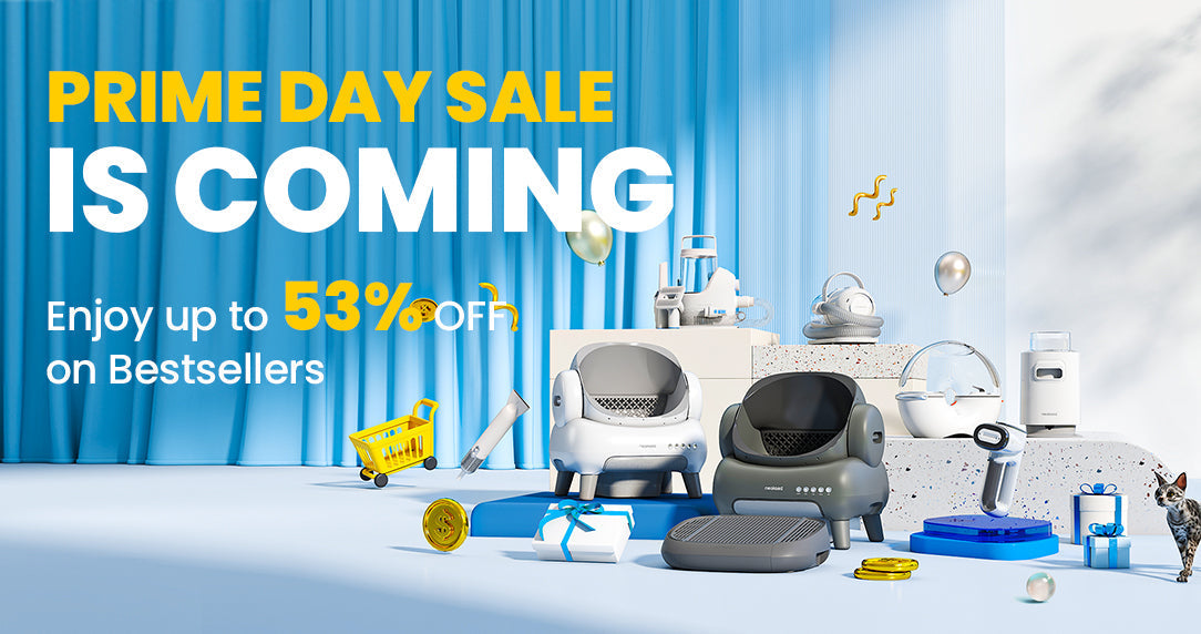 Neakasa Announces Prime Day 2025 Promotions and Expands EU Reach with Neakasa.de