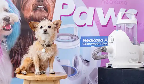 Top 10 Reasons Why Pet Owners Love Grooming Their Dogs with Vacuums