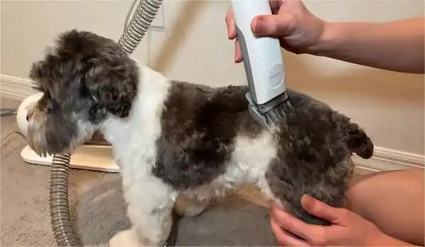 neakasa dog grooming