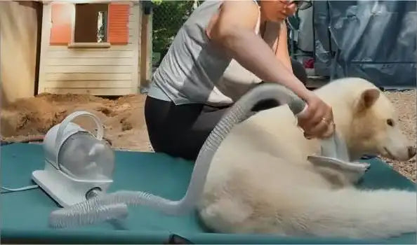 neakasa dog grooming