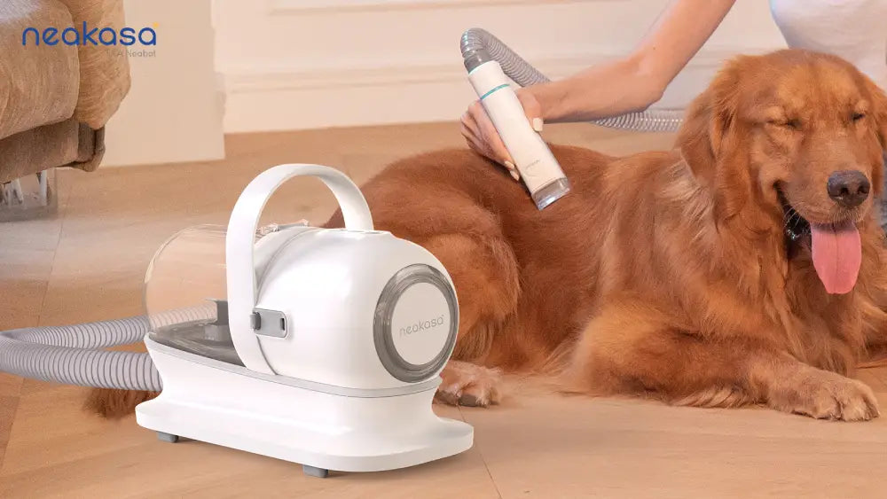 Buy Pet Hair Vacuums Must Have Features to Consider