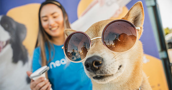 Neakasa Takes Center Stage at 'Summertime in the LBX' Event