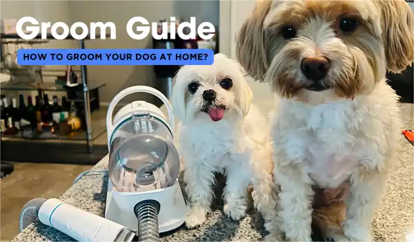 NEAKASA DOG GROOMING VACUUM KIT