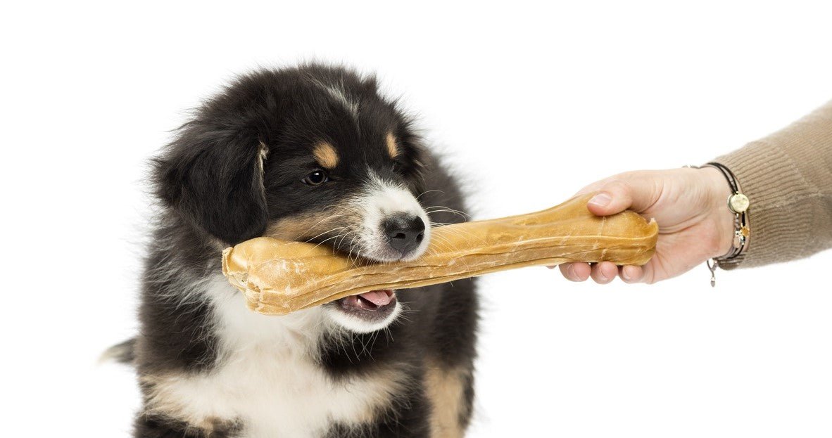 Treats good outlet for dogs teeth