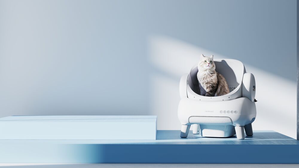 Automatic Litter Box Buyer's Guide 2026: How to Choose the Right Type