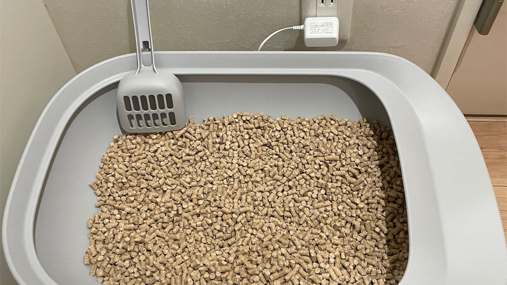 The Ultimate Guide to Pellet Litter Boxes: Selection, Setup, and Maintenance