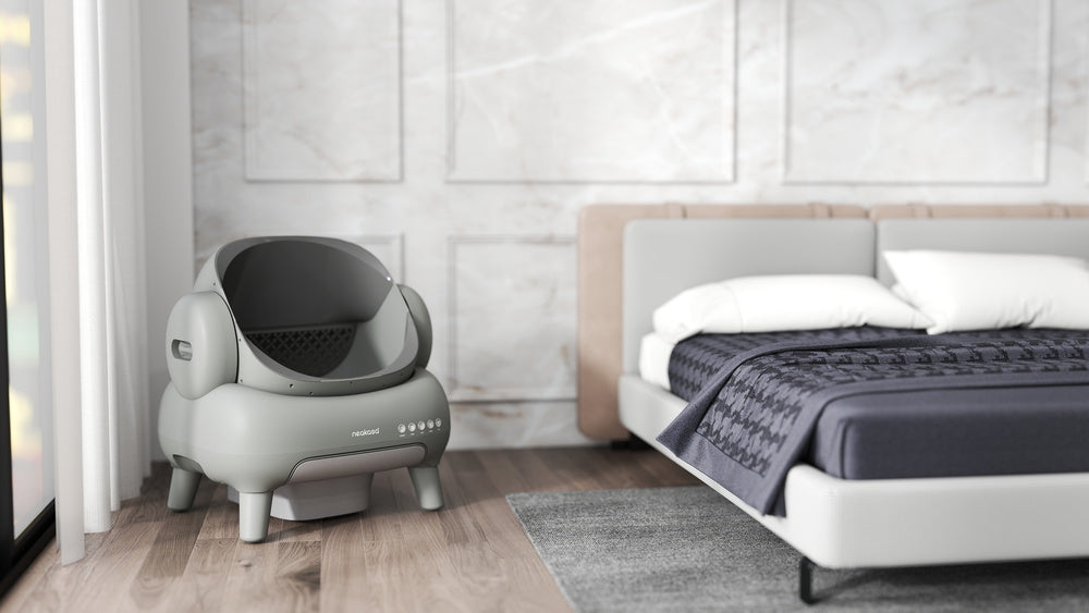 Can I Put a Cat Litter Box in the Bedroom? Safety Risks & Best Placement Guide