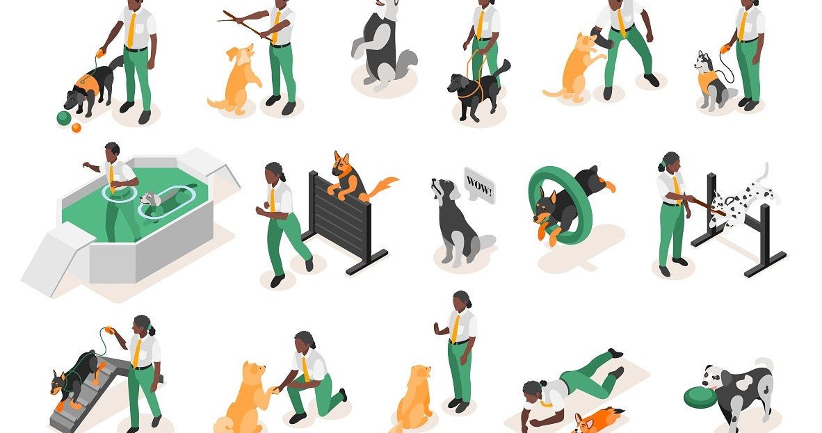 Dog Training Guide: How to Train Your Dog? - Neakasa