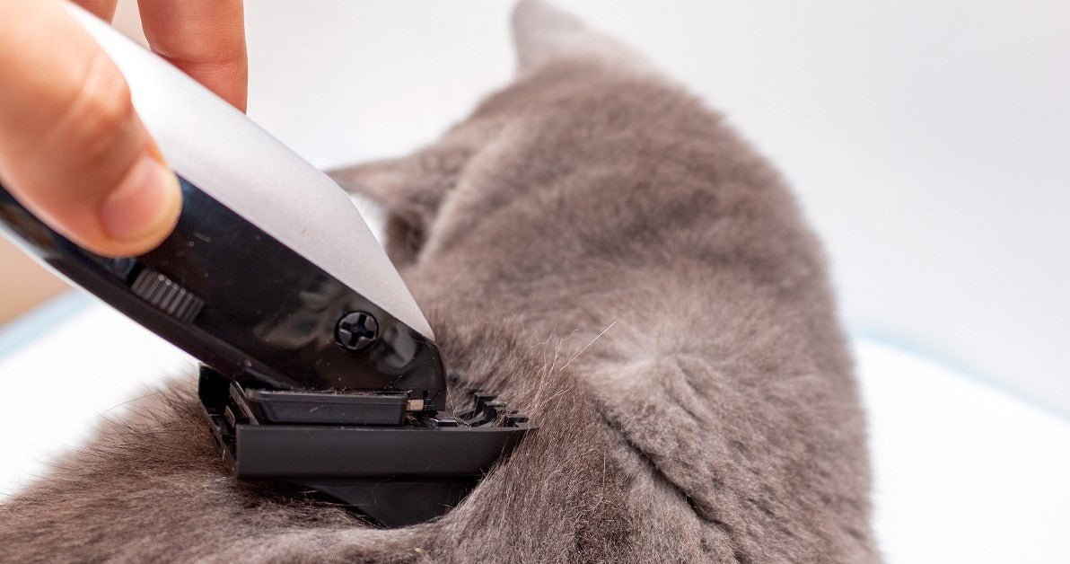 Dog Vacuum Groomer - Life Changing Products - Neakasa