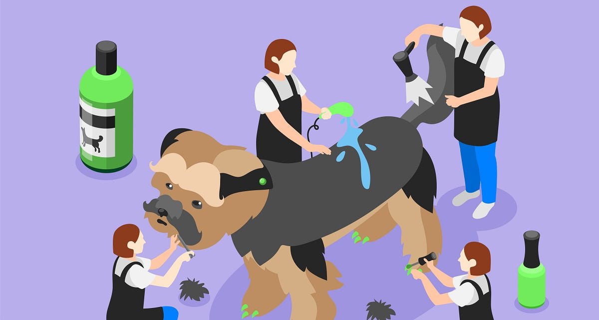 How To Choose Mobile Dog Grooming? - Neakasa
