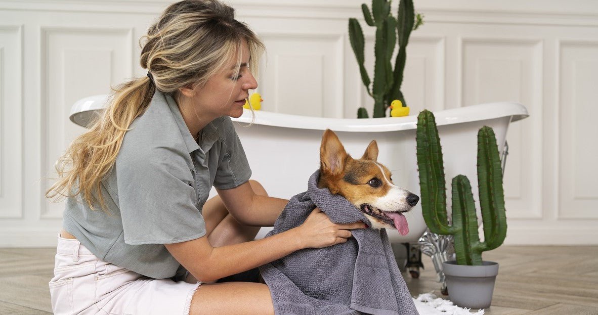 How to Wash a Dog the Right Way? - Neakasa