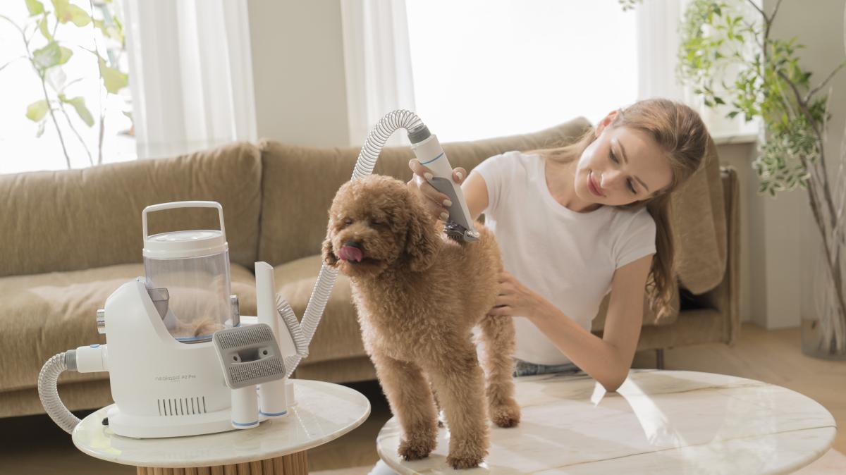 Is There A Vacuum for Pet? - Neakasa