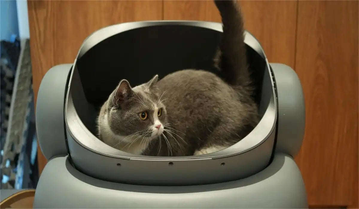 neakasa m1 large litter boxes