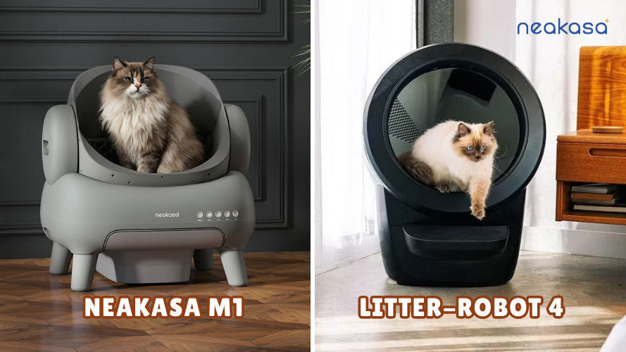 Neakasa M1 vs. Litter-Robot 4: Is the $200 Difference Worth It?