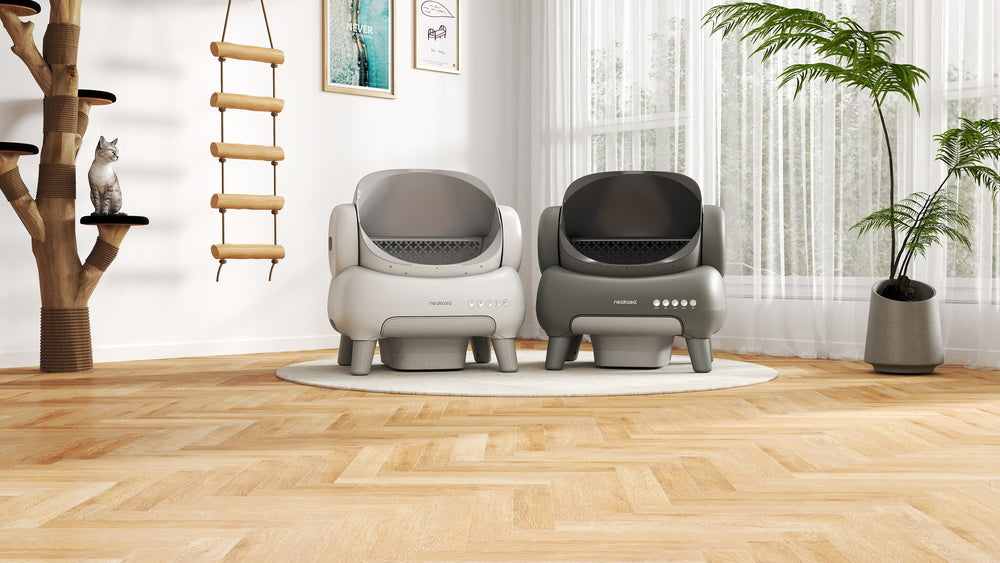 Neakasa M1 Plus vs. M1 Lite Plus: Which Smart Litter Box Is Best for You?