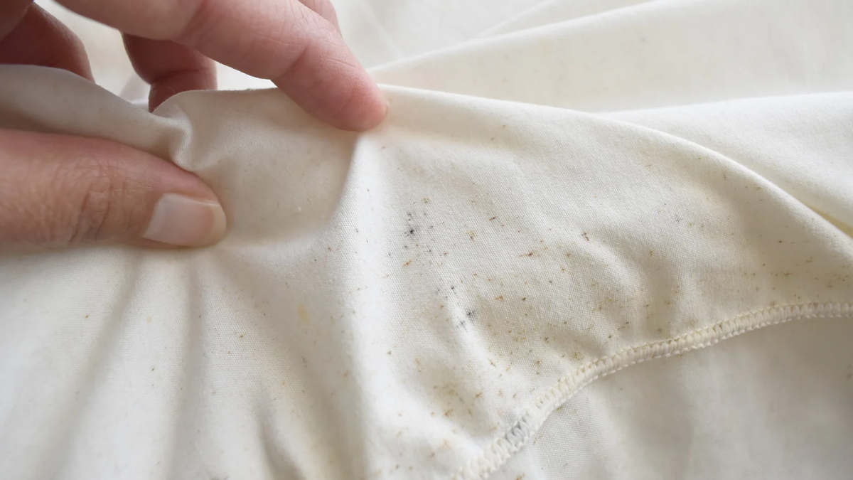 moldy clothes