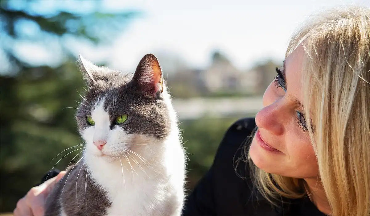 mother and cat