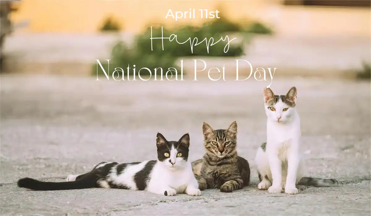 happy national pet day