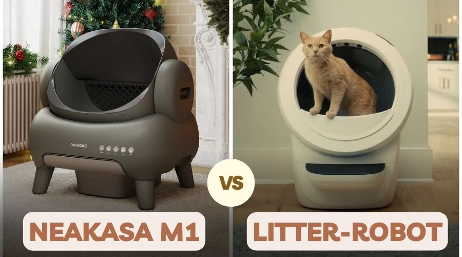 The Ultimate Showdown: Neakasa M1 vs. Litter Robot 4 – Which is the Real Winner?