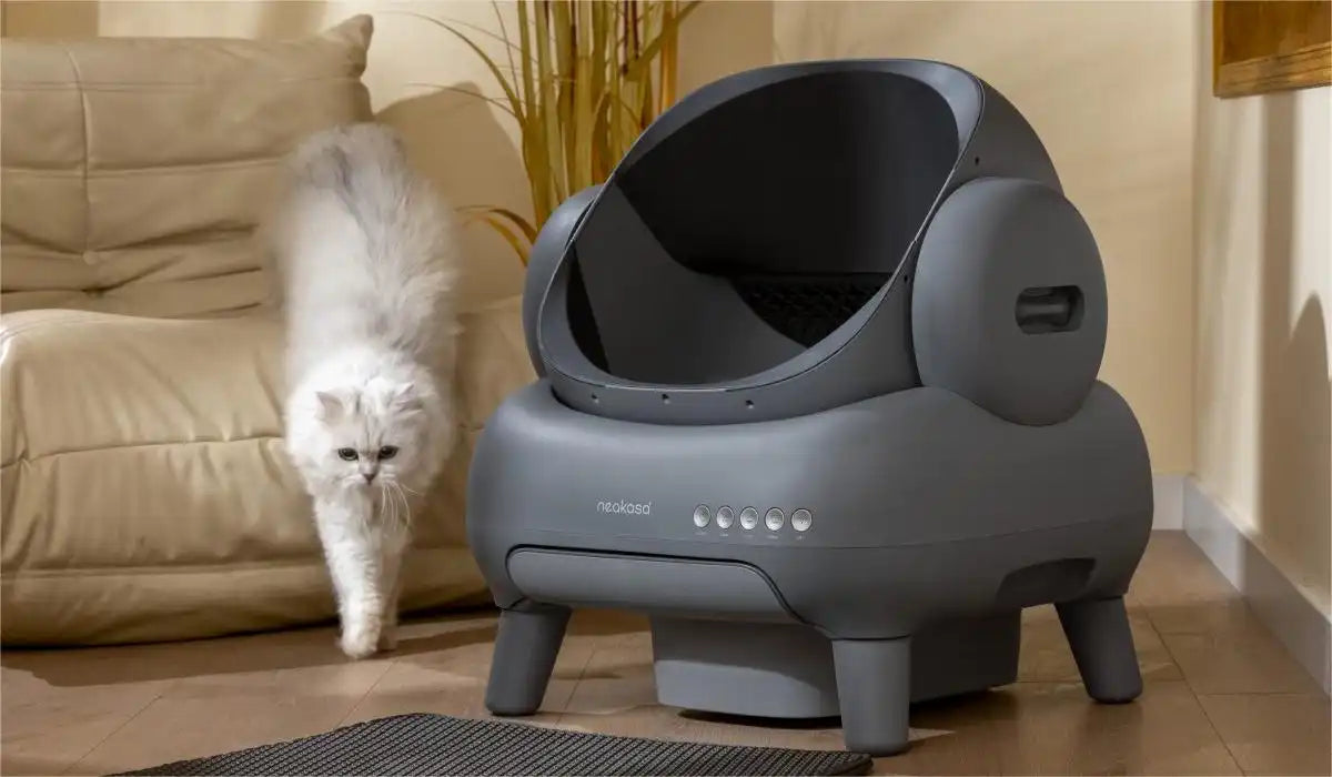 Is an Open Top Cat Litter Box Better Neakasa Official