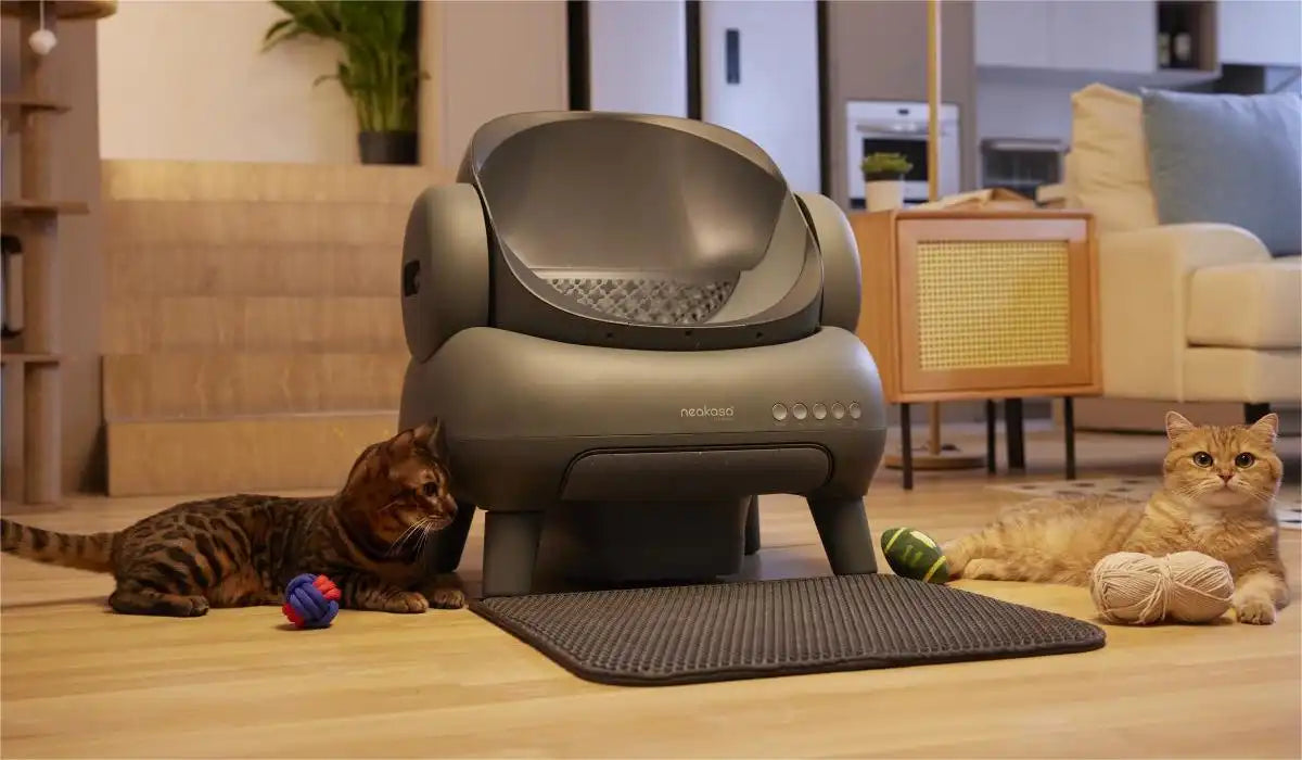 Are Self-cleaning Litter Boxes Worth the Money? | Neakasa Official