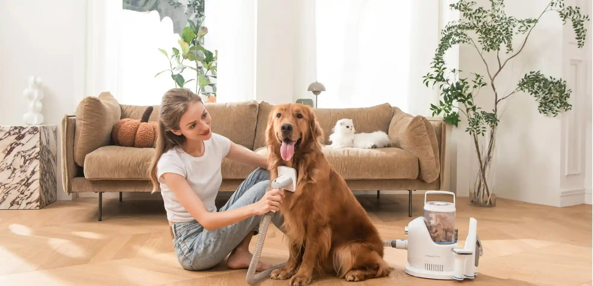 Best Pet Grooming Vacuum 2025 - Top Models & Comparison