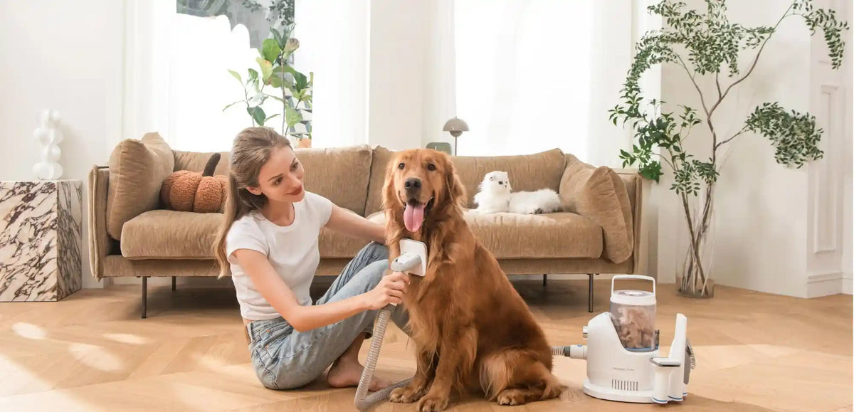Best Pet Grooming Vacuum 2026 banner