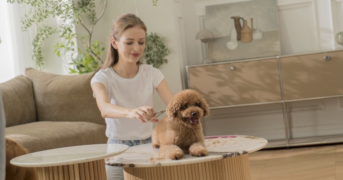 Professional Petsmart Grooming or Home Pet Grooming? - Neakasa