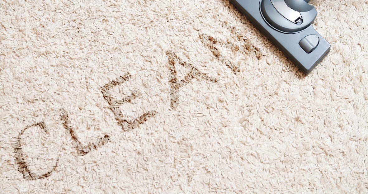 Should You Use a Carpet Vacuum Every Day? - Neakasa