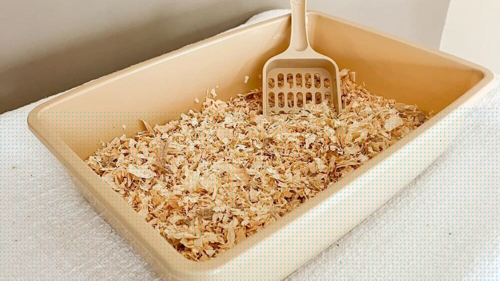 Sifting Litter Boxes 101: Do They Really Save Time & Money?