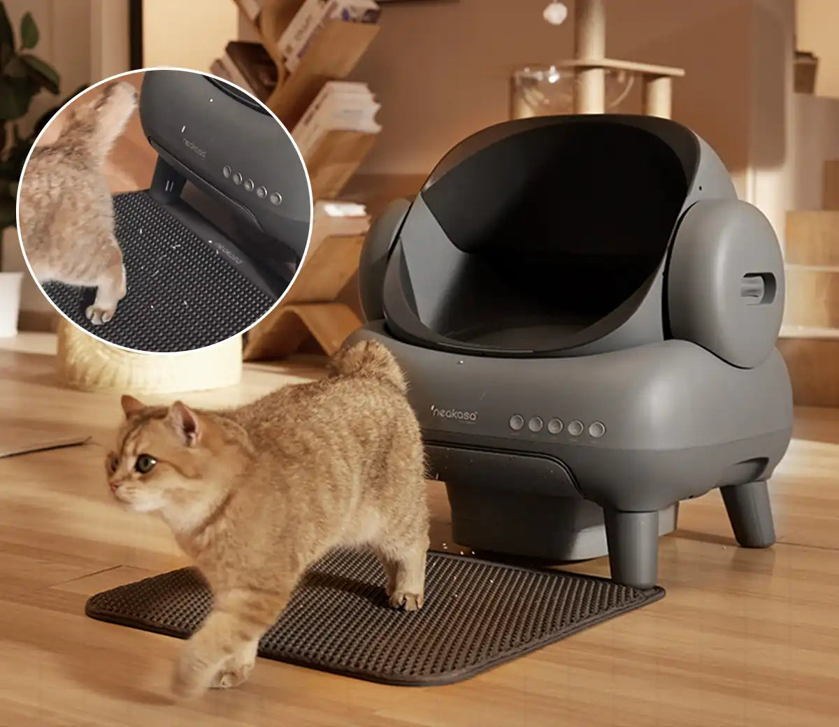 Neakasa M1 Self cleaning cat litter box, automatic cat litter box