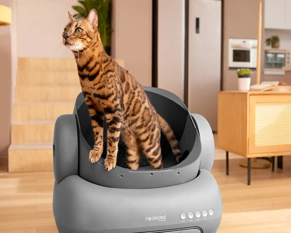 Neakasa M1 Self cleaning cat litter box, automatic cat litter box