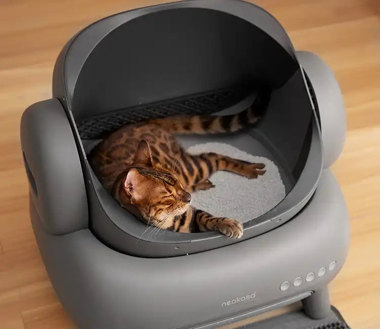 quiet cat litter box neakasa m1