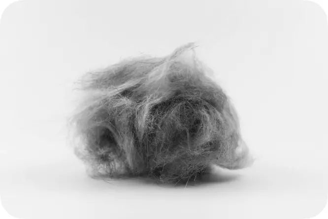 neakasa p1 pro story