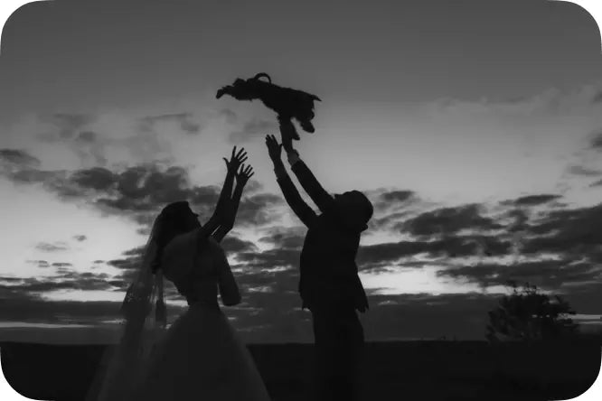 neakasa p1 pro story