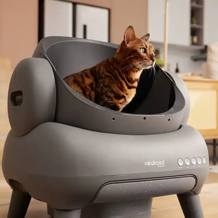 Official | Neakasa M1 Plus Open-Top Self Cleaning Cat Litter Box