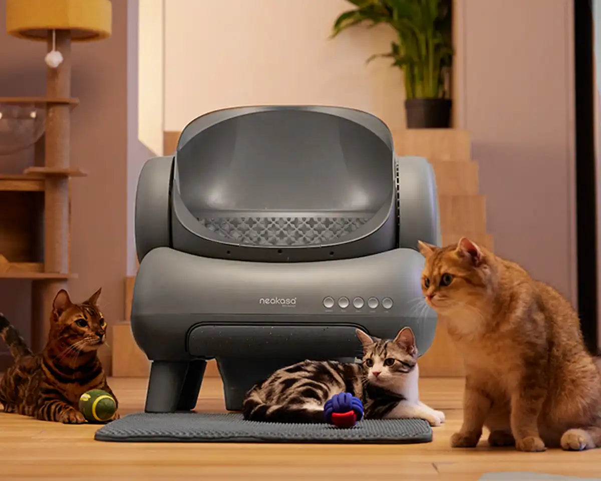 Neakasa M1 Self cleaning cat litter box, automatic cat litter box