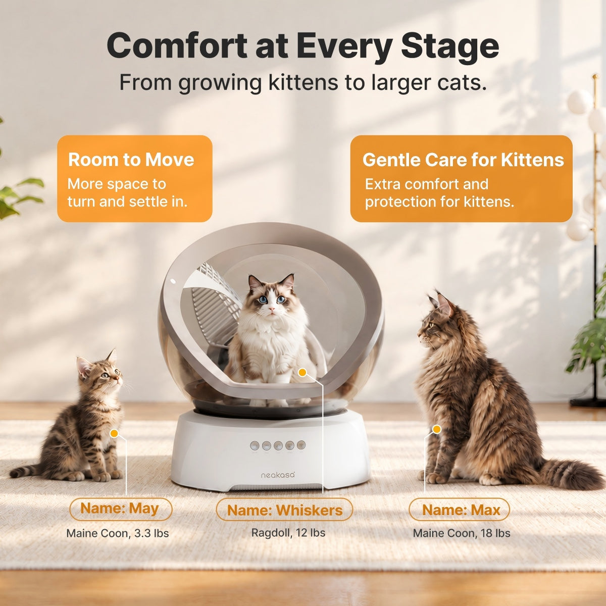 Neakasa M9 comfort for cats of different ages and sizes