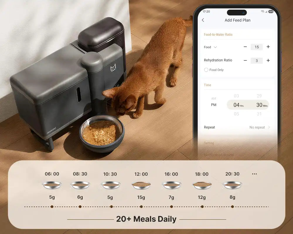 20+ Meals Daily