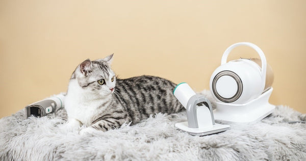 Introducing the Best Dog Vacuum Brush for Easy Grooming at Home