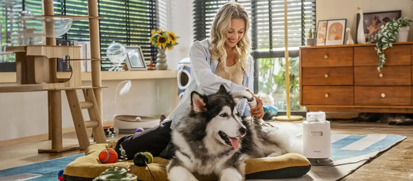 What is the Best Quiet Pet Hair Vacuum? Why 52dB is the 2026 Gold Standard