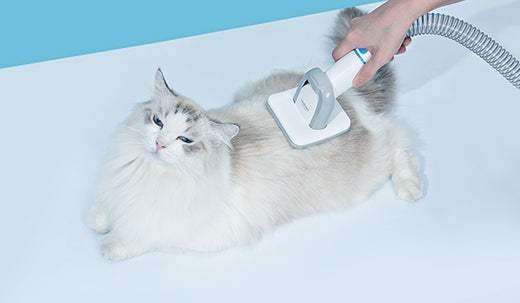 neakasa pet grooming kits