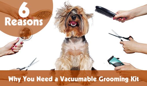 6 Reasons Why You Need a Vacuumable Grooming Kit? - Neakasa
