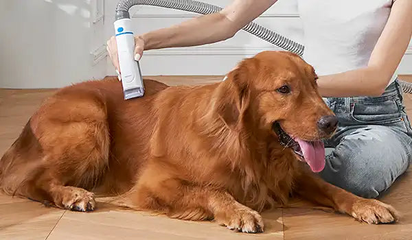 neakasa dog grooming
