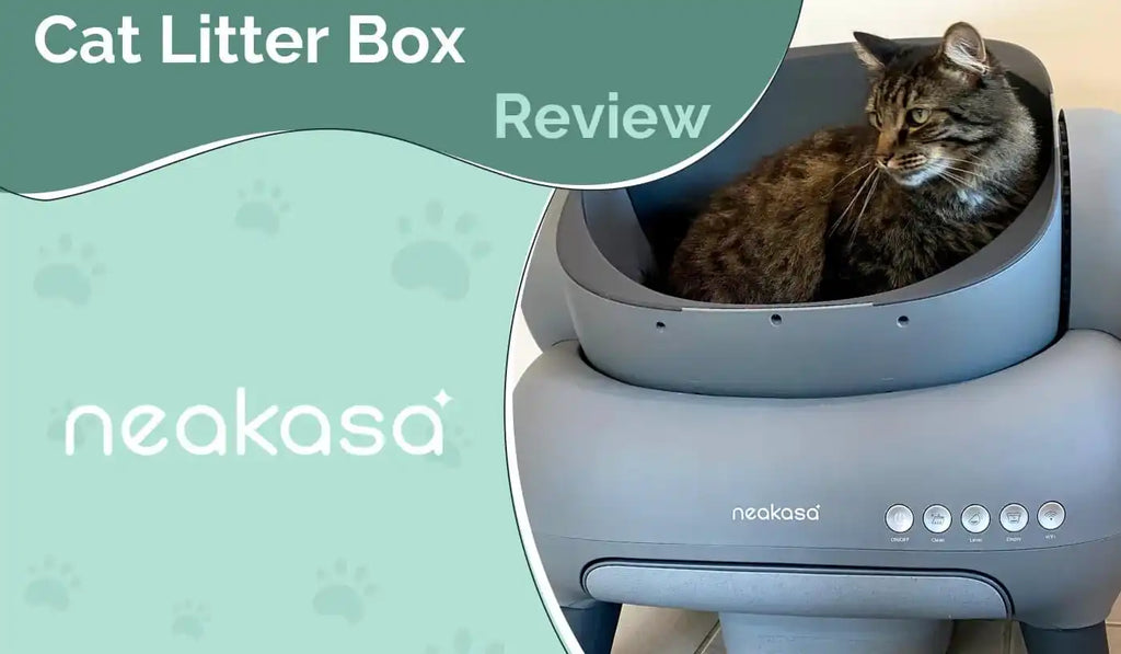 Neakasa M1 Litter Box Reviews Hepper s Expert Opinion Neakasa Official