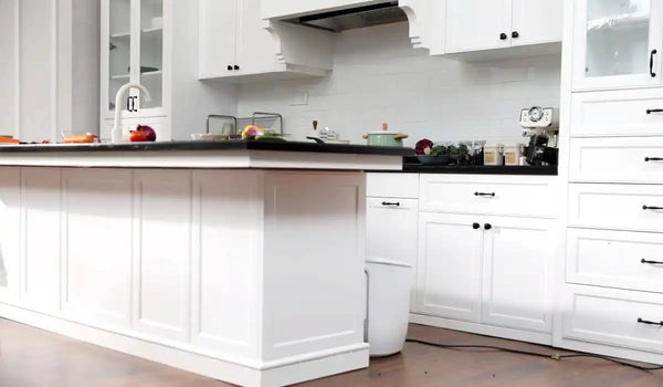 How to Get Rid of Kitchen Pests and Odors