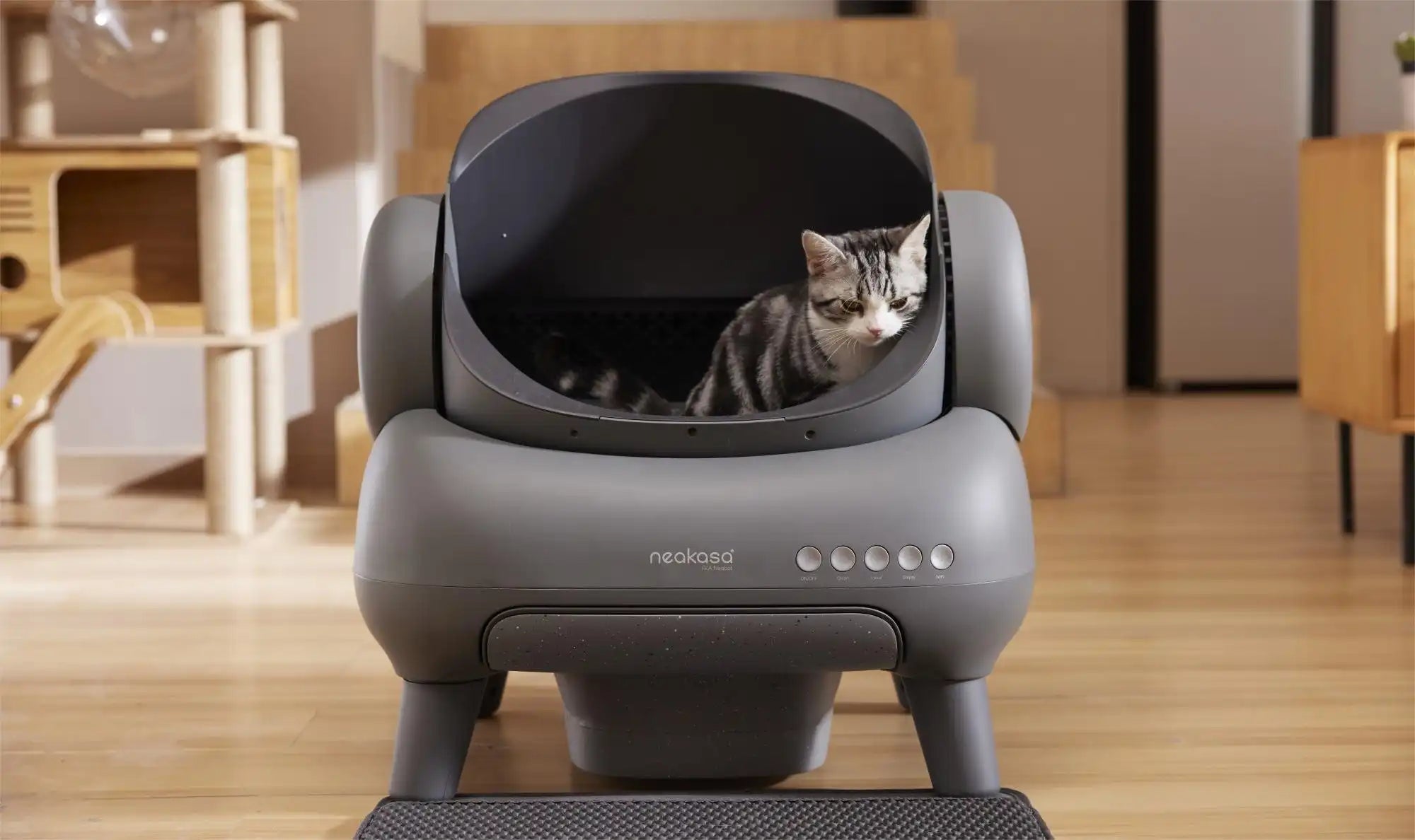 Best Automatic Litter Box 2026: Complete Buying Guide for Cat Owners