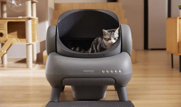 Best Automatic Litter Box 2025: Complete Buying Guide for Cat Owners
