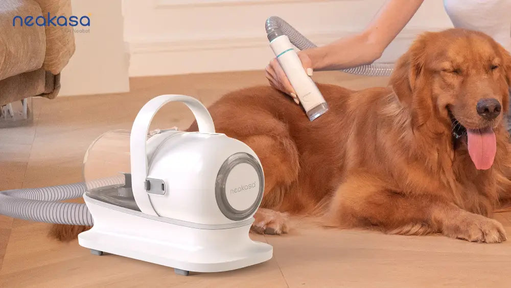 Buy Pet Hair Vacuums: Must-Have Features to Consider!